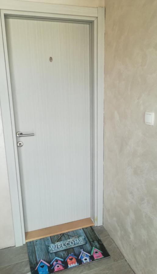 Zen Apartmani Нови Сад Екстериор снимка